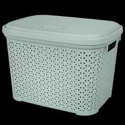 Кошик Diomedea з кришкою 44.5x33.6x31 см 30 л світло-фісташковий (К14-374) 