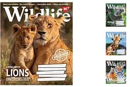 Тетради ученические 18 листов линия. YES Wild life, 25 шт. в упаковке