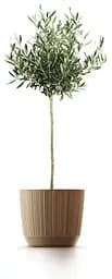 Горщик для квітів Prosperplast Ryfo Eco Wood круглий бежевий 170 мм (82678-4665) - мініатюра 2