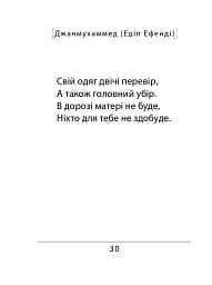 Сефернаме. Тогайбей - мініатюра 12