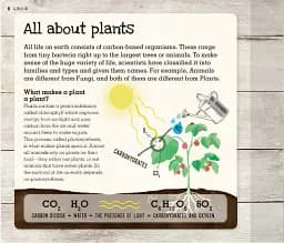 Grow. A Family Guide to Growing Fruit and Veg - мініатюра 9