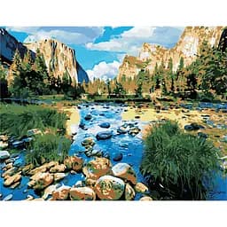 Картина за номерами Дикий край ArtStory 50х65 см кольорова 000169367