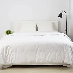 Одеяло ТЕП Cote Blanc Пухово-кассетное 200x220 см белый (1-04087_00000)