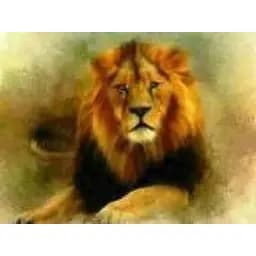 Алмазна мозаїка Лев 30×40 см 60702