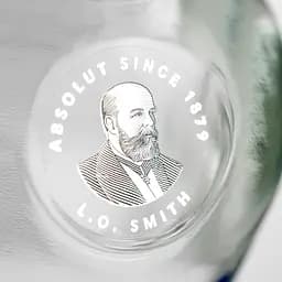 Упаковка горілки Absolut 40% 12 л (1 л х 12 шт.) - мініатюра 4