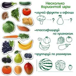 Магнітний набір Magdum Фрукти та овочі (ML4031-15 EN) - мініатюра 4