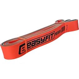 Двошарова резинка для підтягування EasyFit Premium 25-45 кг
