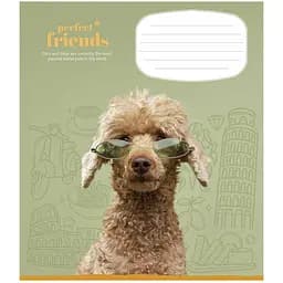 Зошит учнівський Школярик Perfect friends в клітинку 12 аркушів 30 шт. (012-3250K) - мініатюра 3