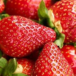 Саджанець Agro-Market Полуниця Мальга (Malga) (ранній, ремонтантний, великоплідний сорт) 5 шт. в пакуванні (122765)