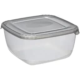 Контейнер Plast Team Polar квадратный 200х200х98 мм 2.5 л (1677)