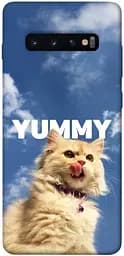 Чохол Demsky Sky kitty для Samsung Galaxy S10+