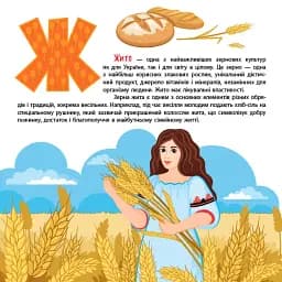 Книжкова скарбничка. Патріотична абетка - мініатюра 4
