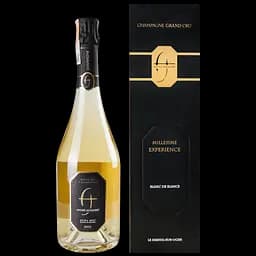 Шампанське Andre Jacquart GC Mlsm Blanc de Blancs 2013 Expérience, 0,75 л, 12,5% (636938) - мініатюра 2