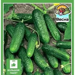 Семена Весна Огурец Титус F1 Большой пакет 1.5 г (32495)