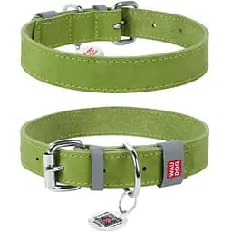 Ошейник для собак Waudog Classic кожаный XS, Ш 12 мм, Дл 21-29 см (4823089313573)