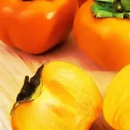 Саджанець Agro-Market Хурма на віргінській морозостійкій підщепі Віргінська великоплідна вищий сорт! (44804) 1 шт. в упаковці - мініатюра 3
