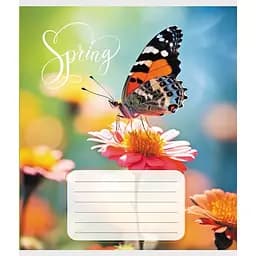 Зошит учнівський "Метелик весною" Leader 018-530216K-3 в клітинку, 18 аркушів