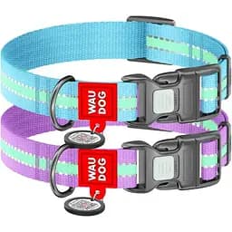 Ошейник для собак нейлоновый Waudog Nylon с QR-паспортом, светонакопительный/светоотражающий, пластиковый фастекс, Ш 25 мм