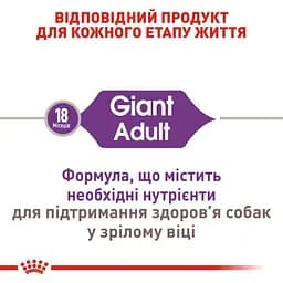 Сухий корм для дорослих собак великих розмірів Royal Canin Giant Adult, 4 кг (3009040) - мініатюра 8