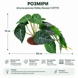 Штучна рослина Hobby Alocasia 1 24 x 14 см (37717) для тераріуму, акватераріуму та палюдаріуму