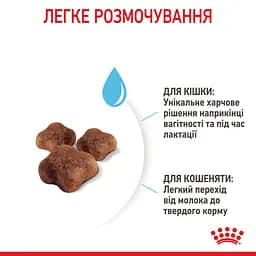 Сухий корм для кошенят Royal Canin Mother and Babycat м'ясо птиці та рис 2 кг - мініатюра 6