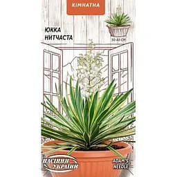 Семена Юкка нитчатая Насіння України комнатная 0.05 г (748000)