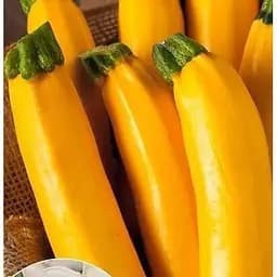 Насіння Весна на вагу Кабачок Світозар ціна за 8 г (32169)