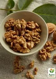 Саджанець Agro-Market Волоський горіх щеплений Tulare (селекція США, ранній термін дозрівання) 1 шт. в упаковці (42986) - мініатюра 3