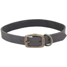 Нашийник для собак Coastal Rustic шкіряний 2,5см x 60см (сірий)