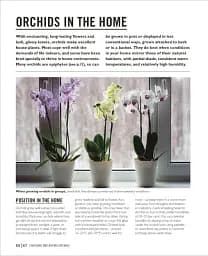 Grow Orchids. Essential Know-how and Expert Advice for Gardening Success - мініатюра 6