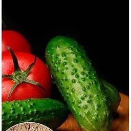 Семена Весна на развес Огурец Засухоустойчивый цена за 5 г (35699)