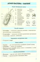 Біологія у визначеннях, таблицях і схемах. 6-11 клас - мініатюра 6