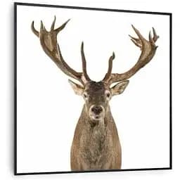 Інфрачервоний обігрівач Klarstein Air Art Smart 7 м² 350 Вт (10037831)