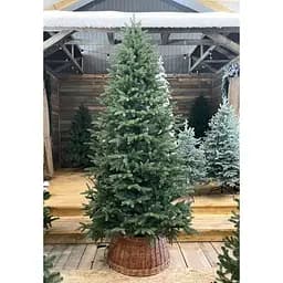 Ялинка Hvoya Classic Mix 260 см лита зелена