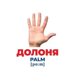 Набір розвиваючих карток Ranok Creative Геній з пелюшок Будова тіла 17 шт. 10107202  - мініатюра 2