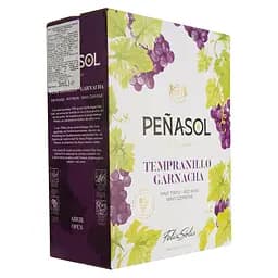 Вино Penasol Tempranillo-Garnacha, 12.5% 3 л (728142) - мініатюра 2