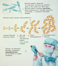 Енциклопедія дошкільника. Мікроби - мініатюра 12