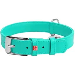 Ошейник для собак Waudog Glamour, кожаный, с QR паспортом, 38-49х2,5 см, ментоловый