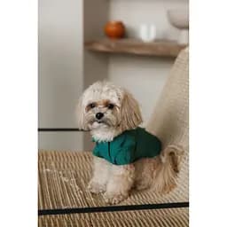 Сорочка Pet Fashion Seaman для собак S - мініатюра 3