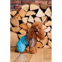 Комбінезон зон Pet Fashion Сharlie ХS для собак - мініатюра 9