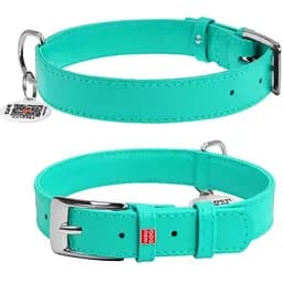 Ошейник для собак Waudog Glamour кожаный с QR паспортом, без украшений, S, Ш 20 мм, Дл 30-39 см (2032931300001)