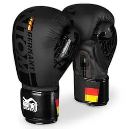 Боксерские перчатки Phantom 12 унций fit0011725