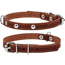 Ошейник для собак Collar одинарный с украшением (4820082496319)