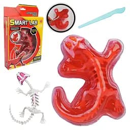 Дитячий лабораторнний набір Ящірка 803B, скелет, внутрішні органи