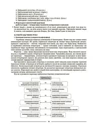 Матеріали до уроків. Зарубіжна література. 7 клас - мініатюра 5