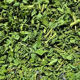 100 г иван-чай узколистный, листья без цветов, сушеные — свежий урожай