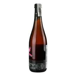 Вино ігристе Camillo Donati Malvasia Rosa Frizzante рожеве сухе 11.5% 0.75 л (766570) - мініатюра 2