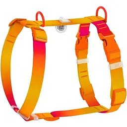 Шлея для собак Waudog Nylon Recycled анатомічна H-подібна з QR-паспортом, градієнт, пластиковий фастекс, М