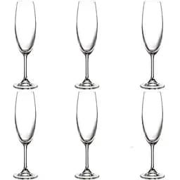 Набор бокалов Ecomoire для игристого 220 мл 6 шт. (EMP541F120 PLT)