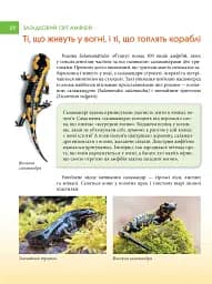 Загадковий світ амфібій - мініатюра 4